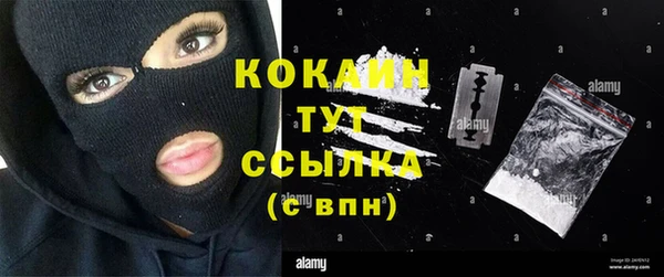 хмурый Осинники