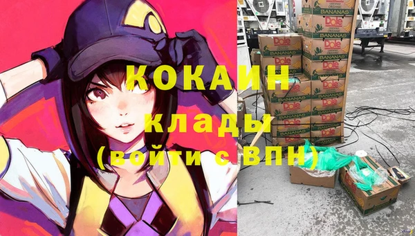 хмурый Осинники