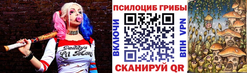 Галлюциногенные грибы Magic Shrooms  Купить закладки  Малгобек 