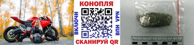 Каннабис семена  Купить где  Малгобек 